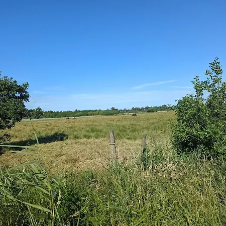 Feriehus 8 Person In Blavand-by Traum