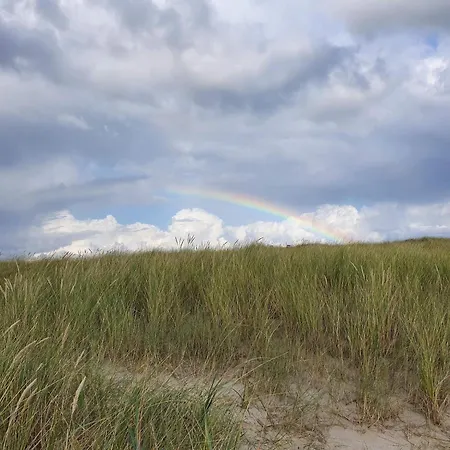 Feriehus 8 Person In Blavand-by Traum