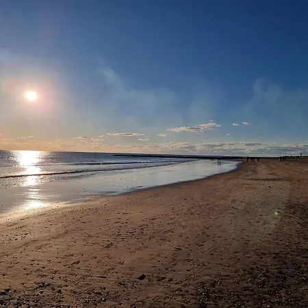 Feriehus 8 Person In Blavand-by Traum *