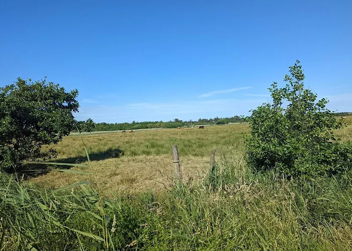 別荘 8 Person In Blavand-by Traum