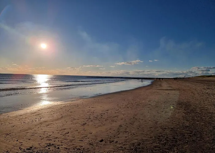 別荘 8 Person In Blavand-by Traum *