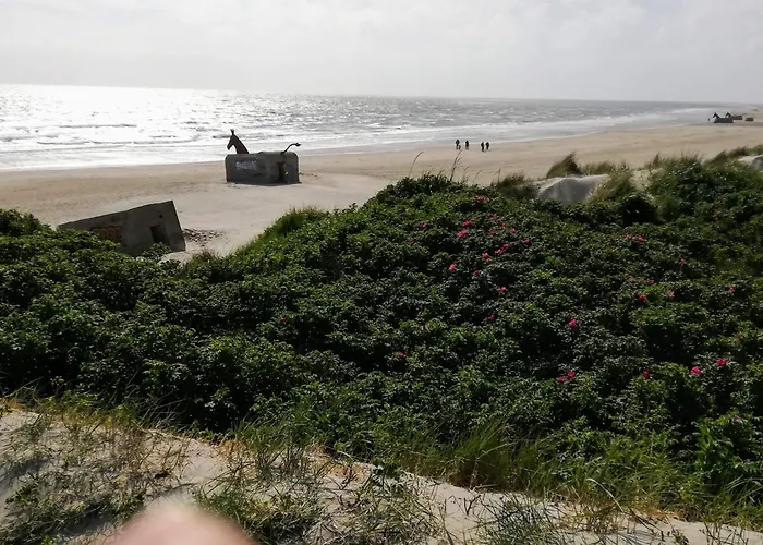 8 Person In Blavand-by Traum 別荘 ブラーバンド